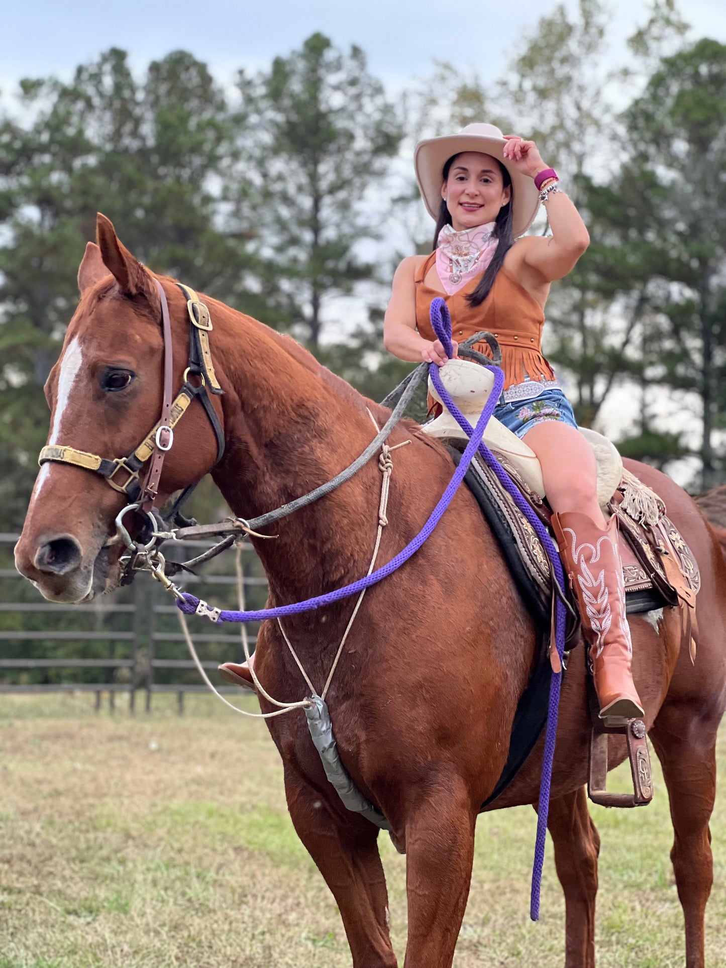 Rodeo Brown Top